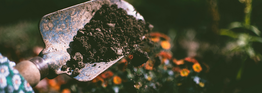 Understanding Soil