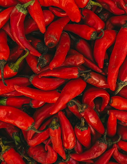 Capsicum 'Cayenne Red'