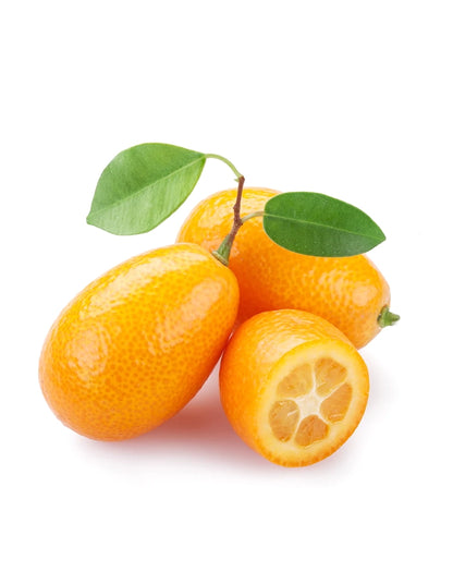 Kumquat