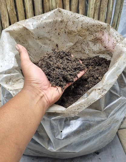 Outdoor potting soil