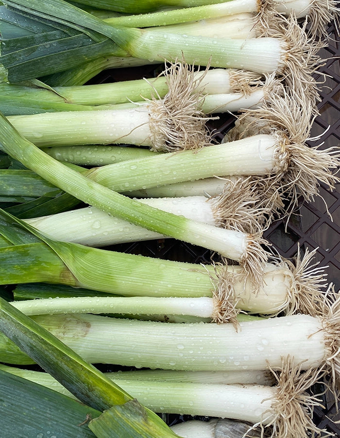 Leeks